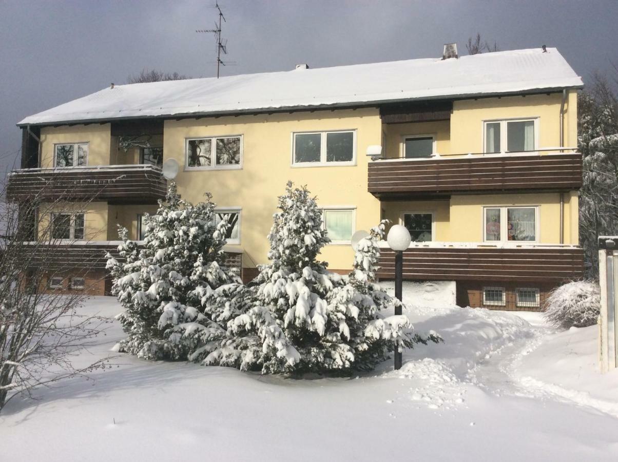 Apartmán Blockhaeuser Fewo3 Harzblick Braunlage Exteriér fotografie