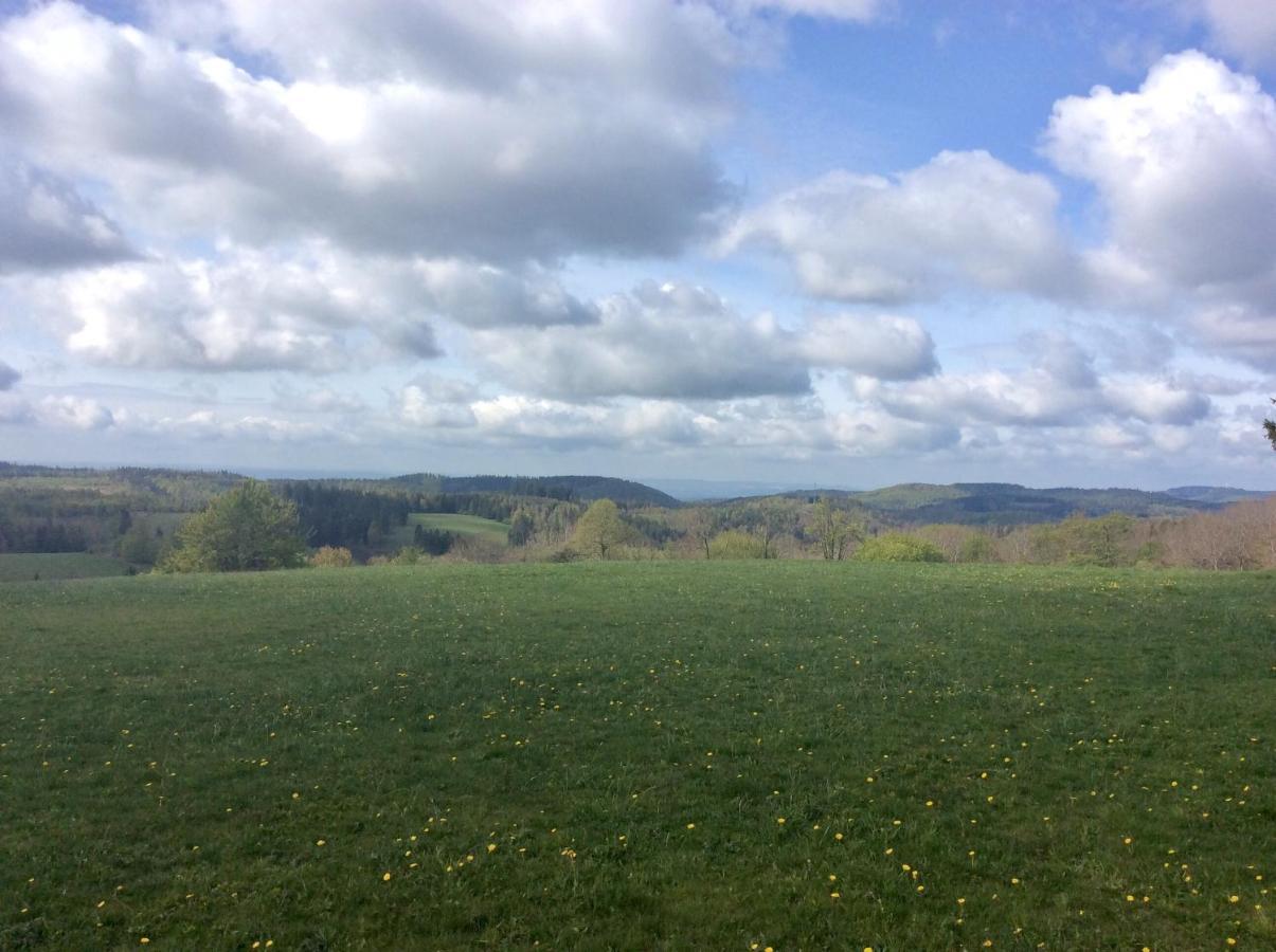 Apartmán Blockhaeuser Fewo3 Harzblick Braunlage Exteriér fotografie